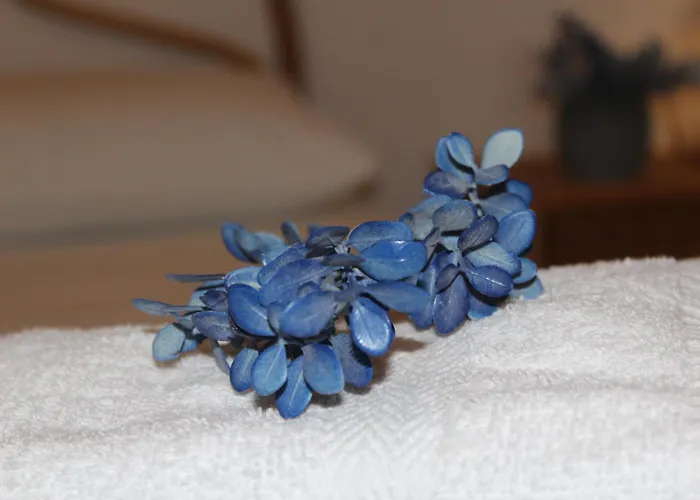 Tatil Evi Casa Briseida Gallipoli