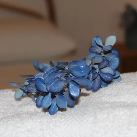 Casa vacanze Casa Briseida Gallipoli